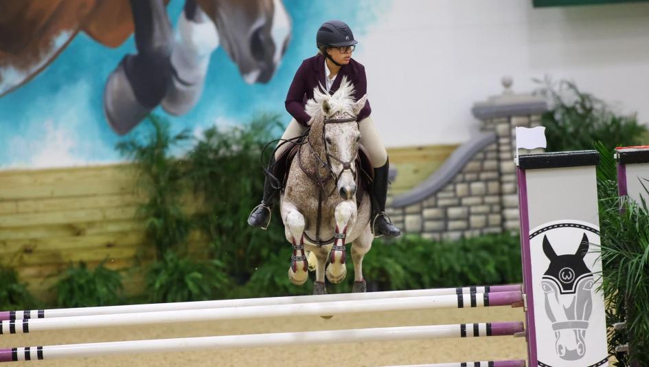 The Jockey Club Thoroughbred Incentive Program, T.I.P. Aftercare, horse racing, America's Best Racing, ABR